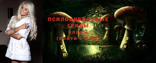 мяу мяу мука Беломорск