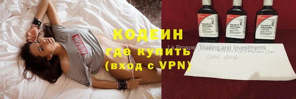 ГАЛЛЮЦИНОГЕННЫЕ ГРИБЫ Белокуриха
