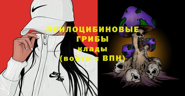 ГАЛЛЮЦИНОГЕННЫЕ ГРИБЫ Белокуриха
