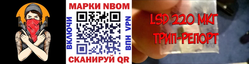 блэк спрут как войти  Щёлкино  Марки 25I-NBOMe 1,5мг 