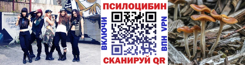 где купить наркоту  Щёлкино  Псилоцибиновые грибы мухоморы 